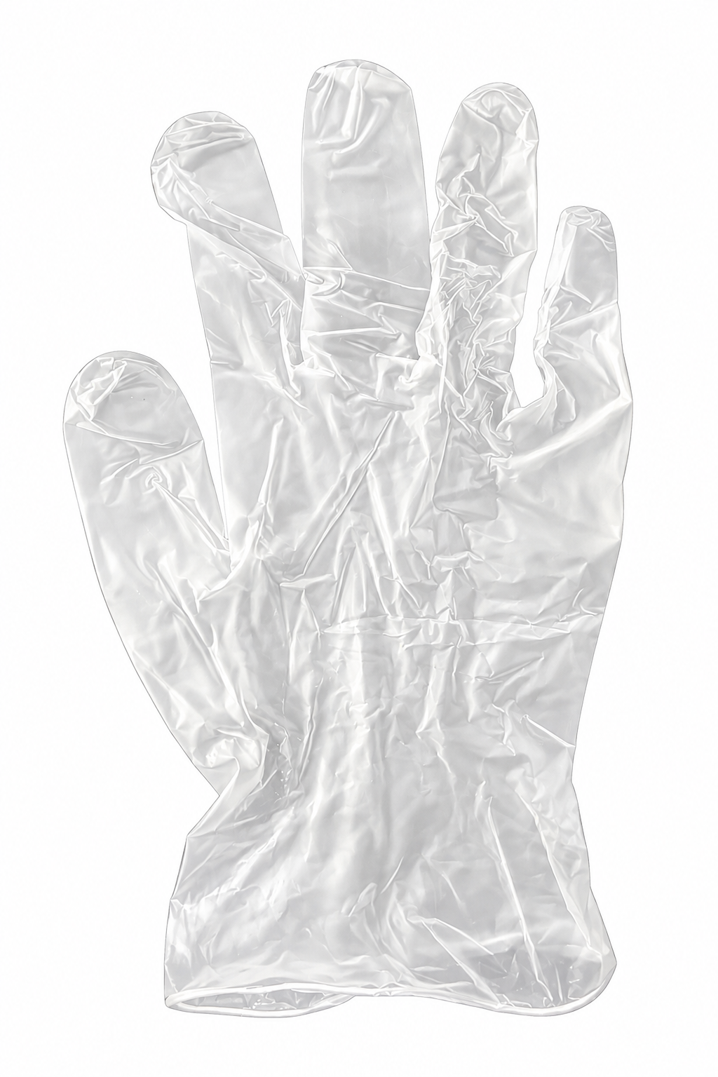 Vinyl Gloves Powder Free
